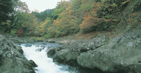 画像1: むつ市より恐山霊場と薬研渓流を見学して下風呂温泉へのタクシー手配