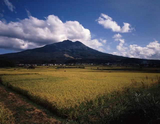 画像1: 弘前市から市内観光や岩木山神社や岩木山観光して弘前市ヘのタクシー手配