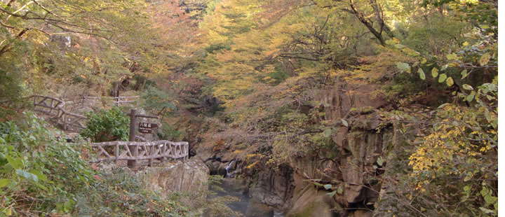 画像1: 仙台市から瑞鳳殿と青葉城跡と大崎八幡神社を見学して秋保温泉へのタクシー手配