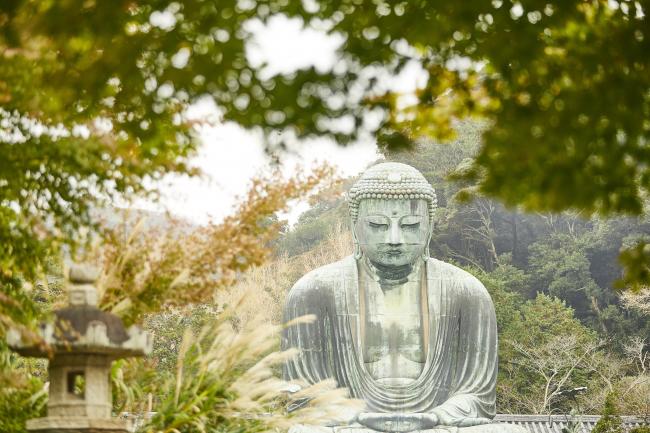 画像1: 鎌倉市内から円覚寺や建長寺や円応寺や鶴岡八幡宮や鎌倉宮や瑞泉寺や杉本寺や報国寺や大仏や長谷寺を見学して鎌倉市内へのタクシー手配