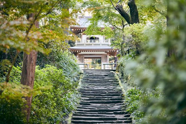 画像1: 鎌倉市内から浄智寺や明月院や鶴岡八幡宮や釈迦堂切通しや宝戒寺や光明寺や森戸海岸や葉山御用邸しおさい公園を見学して江ノ島へのタクシー手配