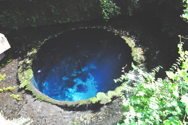 画像1: 箱根から柿田川湧水群や沼津御用邸公園や三津シーパラダイスを見学して修善寺温泉へのタクシー手配