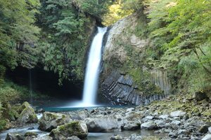 画像1: 箱根から十国峠や伊豆スカイラインや修禅寺や浄蓮の滝や天城旧街道や河津七滝を見学して熱川温泉・稲取温泉へのタクシー手配