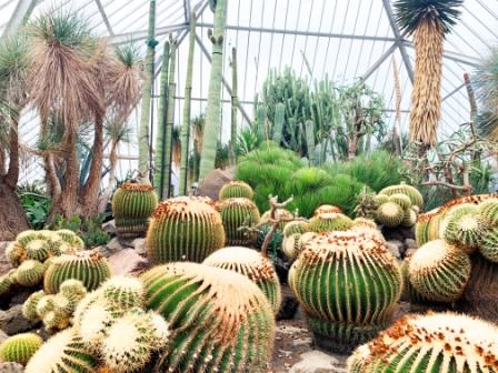 画像1: 伊東温泉から大室山やシャボテン公園や城ケ崎海岸やバイカル公園や玉泉寺や了仙寺や宝福寺を見学して下田温泉へのタクシー手配