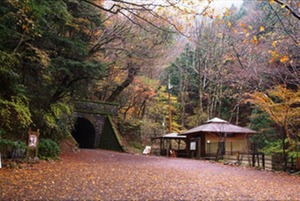 画像1: 三島市内から修禅寺や浄蓮の滝や天城峠や河津七滝や済広寺を見学して熱川温泉へのタクシー手配