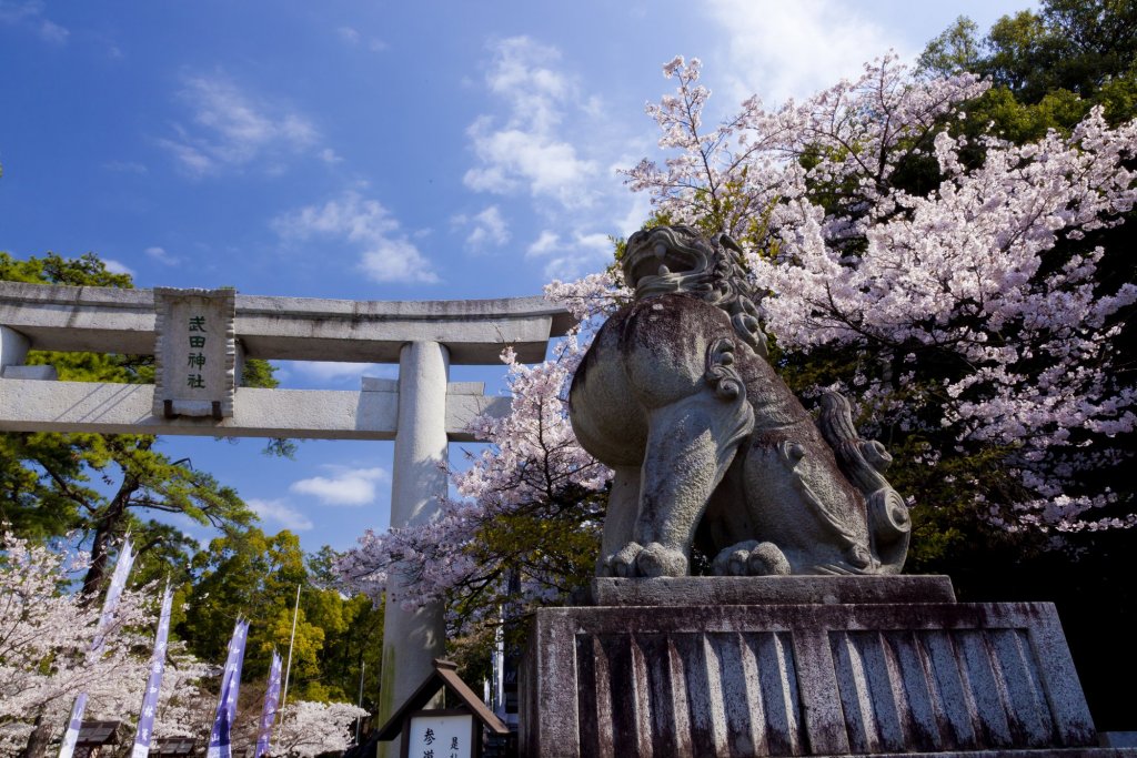 画像1: 石和温泉から昇仙峡や信玄の墓や武田神社を見学して石和温泉へのタクシー手配