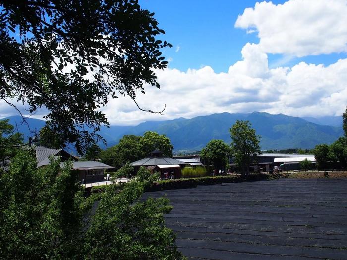 画像1: 松本市内から大王わさび農場や禄山美術館や穂高神社や安曇野アートヒルやちひろ美術館を見学して大町温泉ヘのタクシー手配